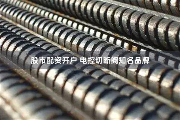 股市配资开户 电控切断阀知名品牌
